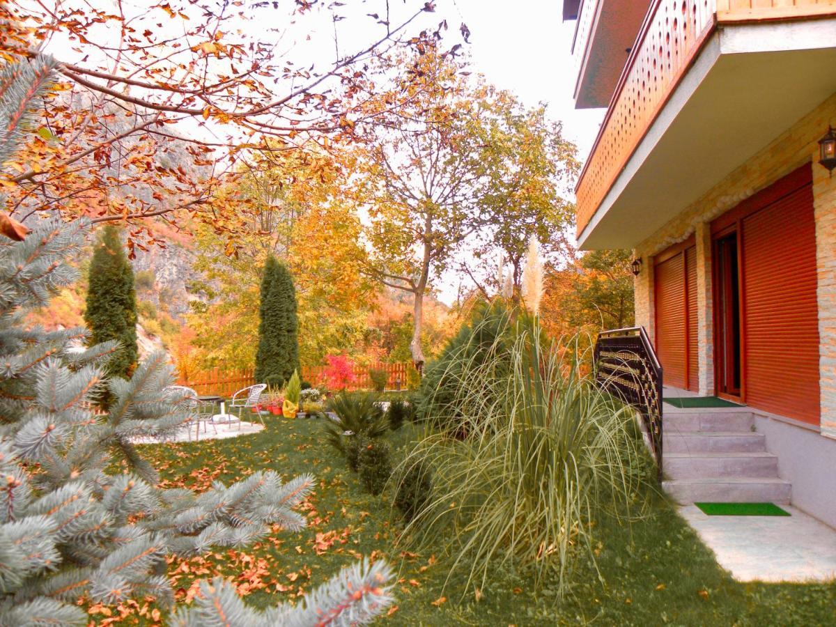 Vila Alexander B&B 발보너 외부 사진