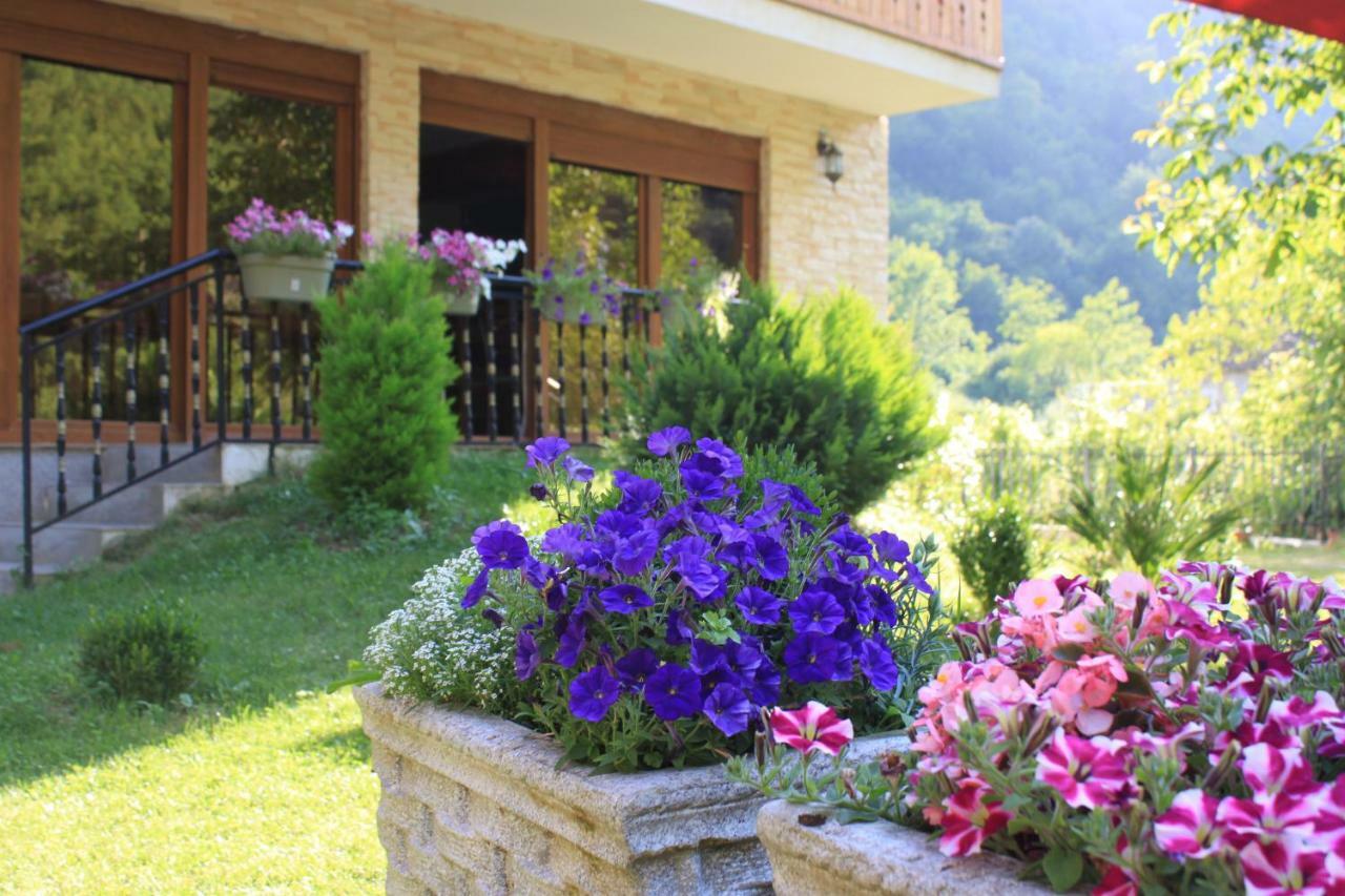 Vila Alexander B&B 발보너 외부 사진